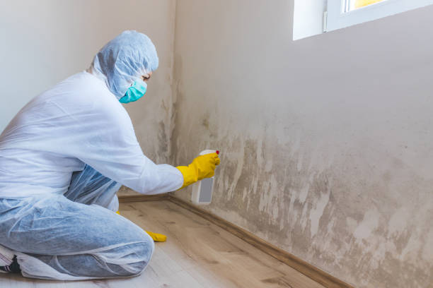 Licensed Crawl Space Mold Removal service in Springfield, VA - WQB Mold Removal