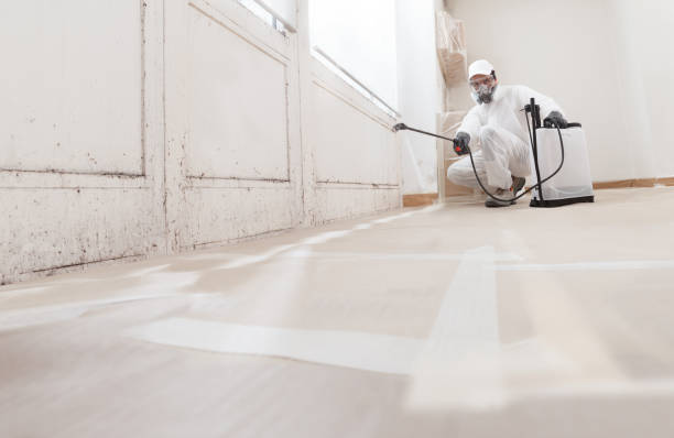 Trusted Crawl Space Mold Removal service in Springfield, VA - WQB Mold Removal