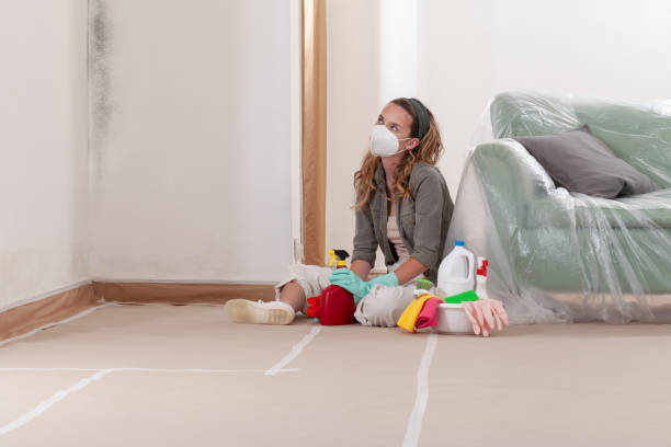 Reliable Crawl Space Mold Removal contractor in Springfield, VA by WQB Mold Removal