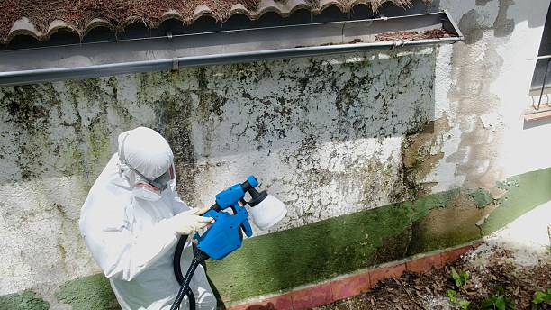 Top rated local Crawl Space Mold Removal specialists in Springfield, VA